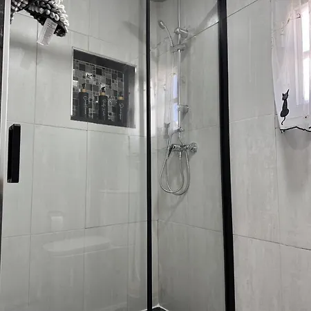 Dante - Ole Solutions * Херес-де-ла-Фронтера